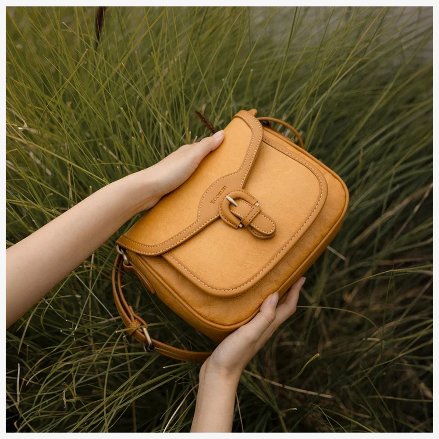 #color_naranja ámbar